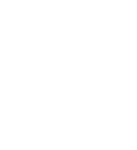 The Boss